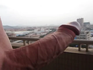 5390 cock porn videos